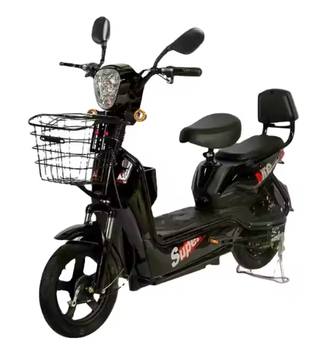 The Gold Eagle E-Bike